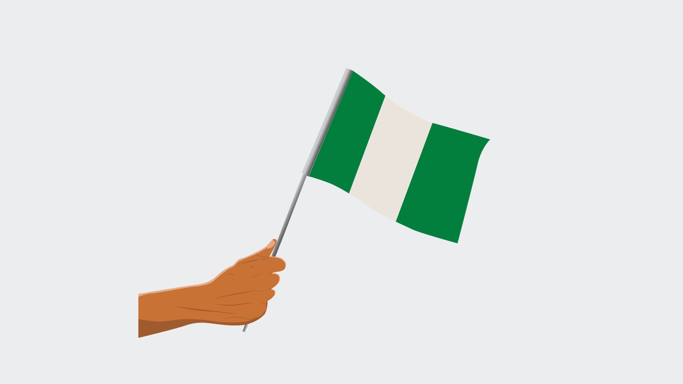 Nigerian Company to expand in the USA Successfully