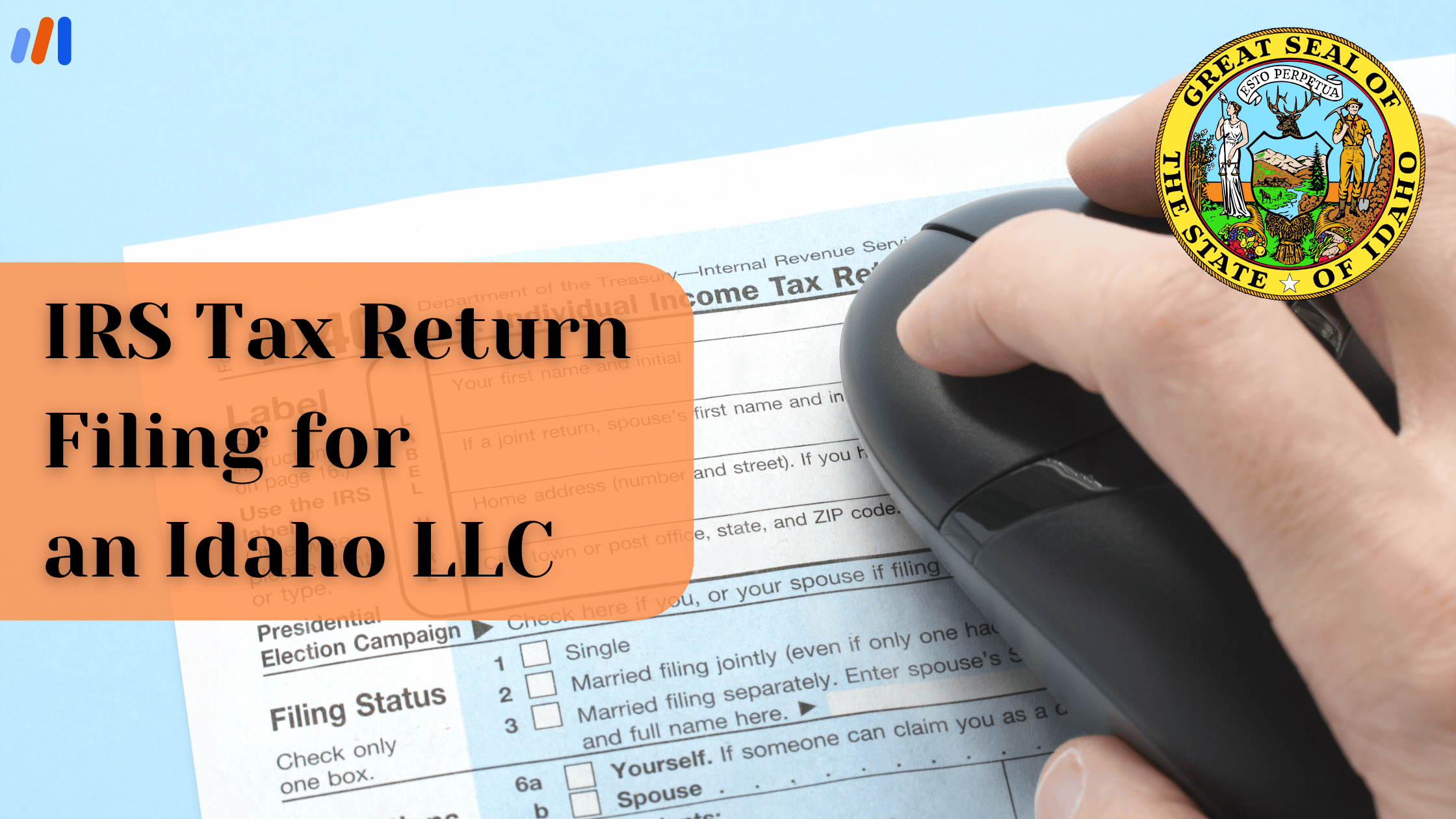 IRS Tax Return Filing for Idaho LLC