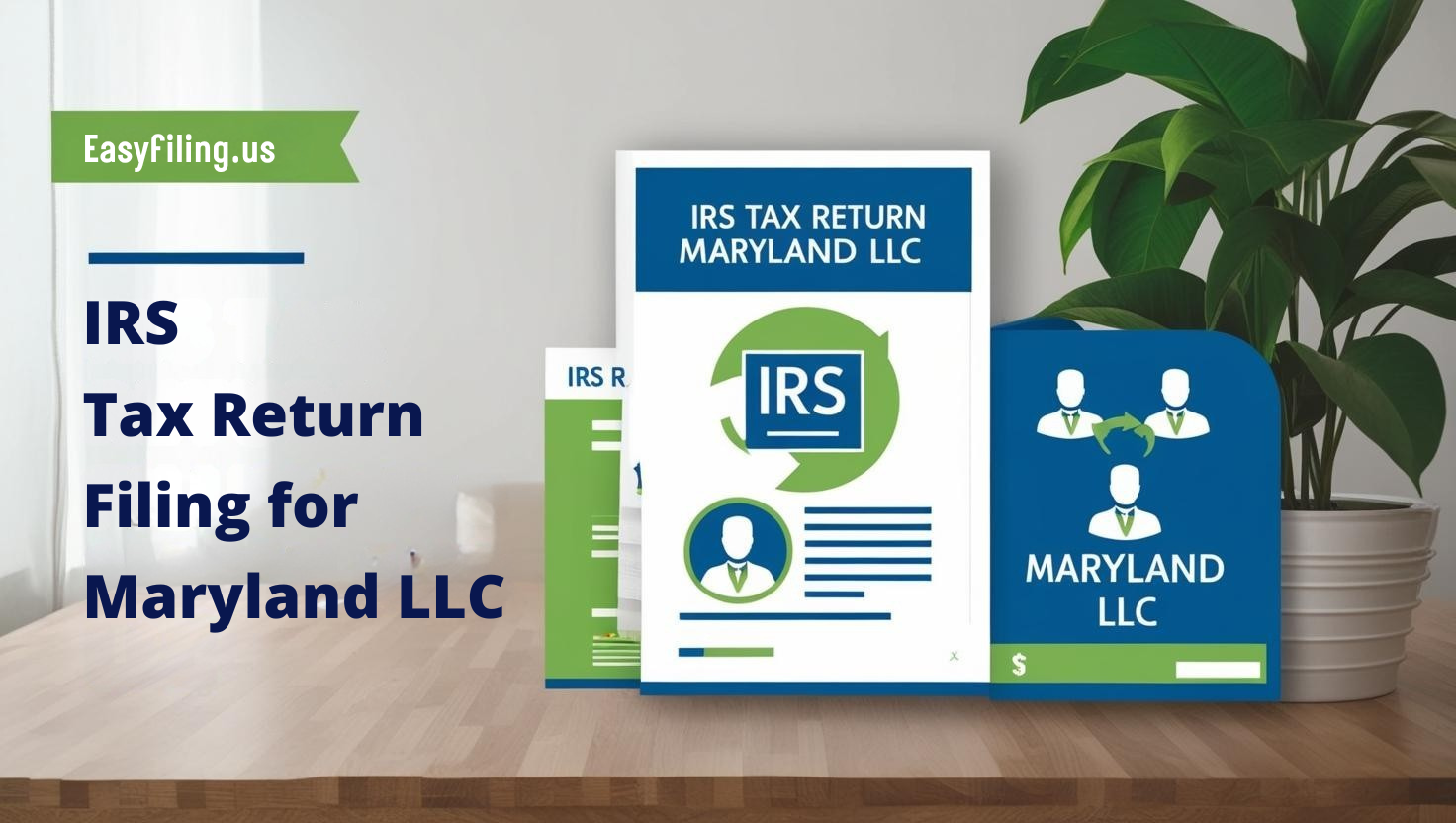 IRS Tax Return Filing for Maryland LLC