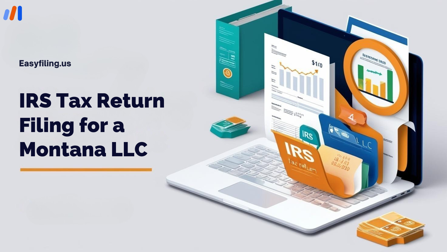IRS Tax Return Filing for Montana LLC