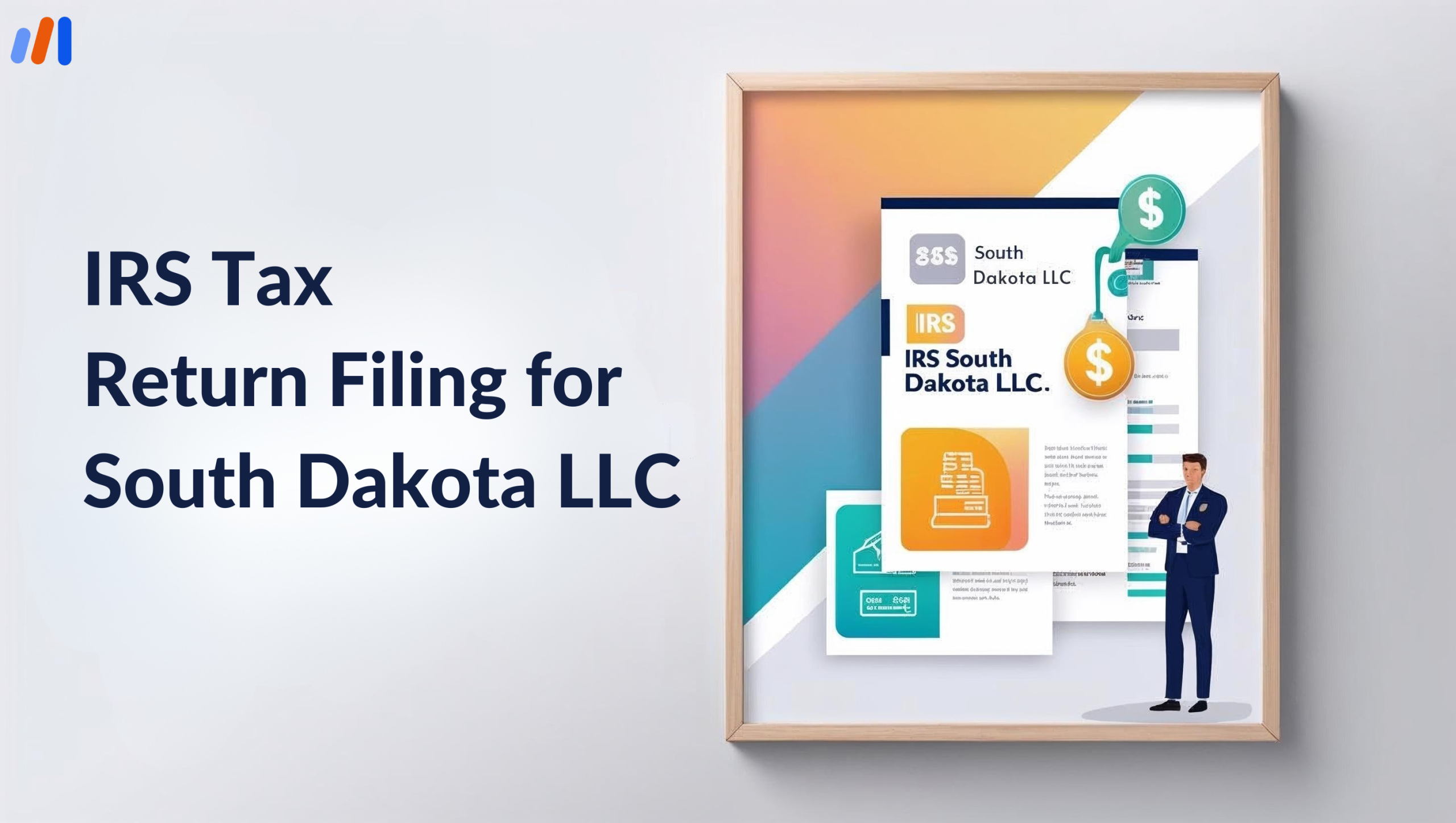 IRS Tax Return Filing for South Dakota LLC